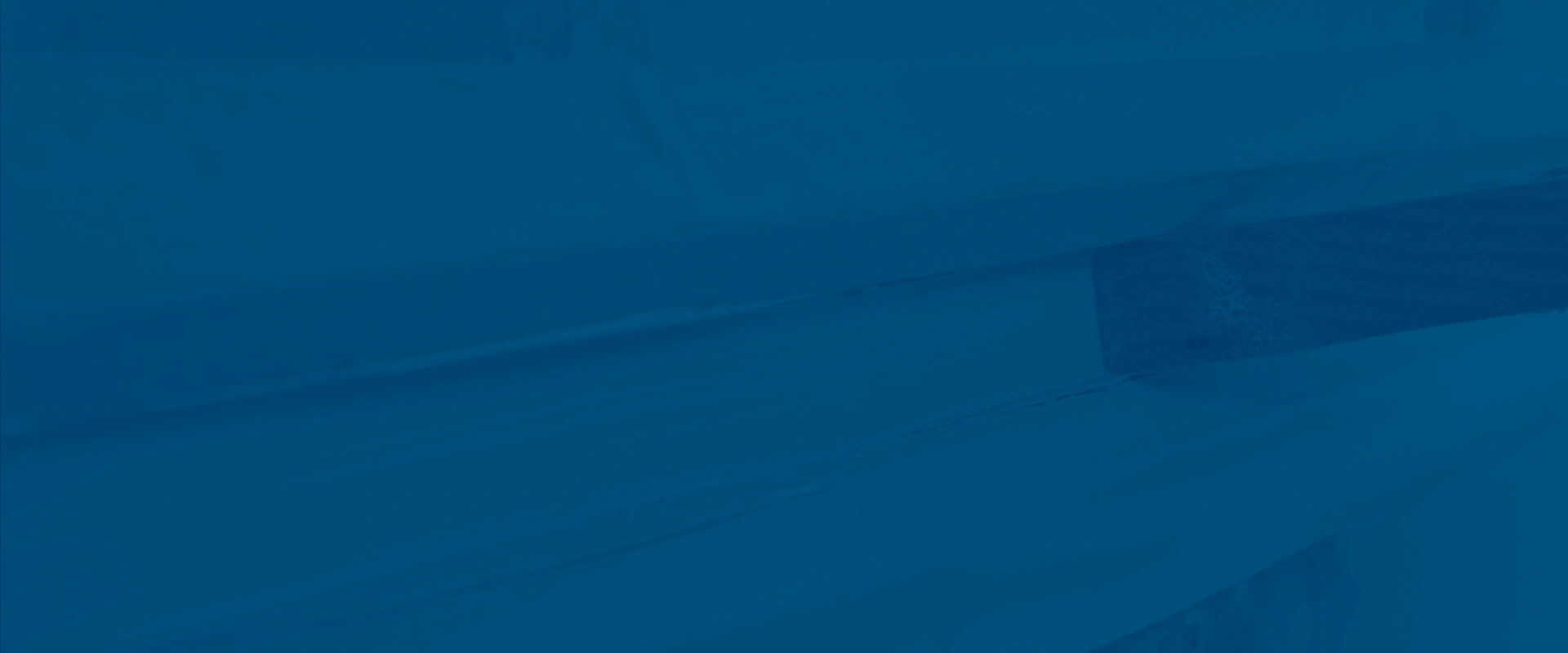 Mycoflex 488 MS